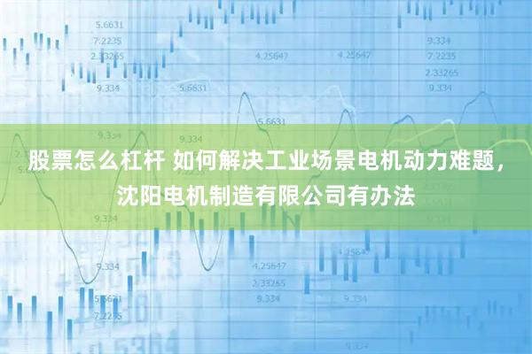 股票怎么杠杆 如何解决工业场景电机动力难题，沈阳电机制造有限公司有办法